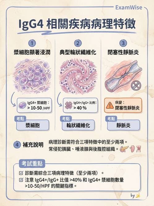 內專 - 乾燥症與IgG4相關疾病 - AI 圖文解析預覽