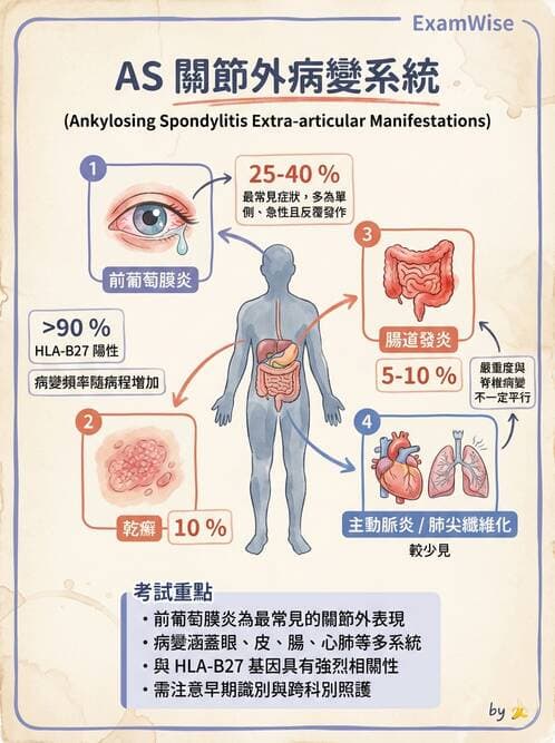 內專 - 脊椎關節病變 - AI 圖文解析預覽