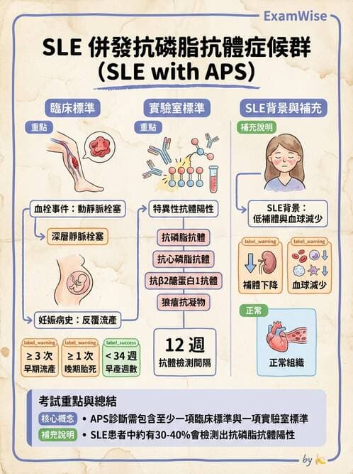 SLE - 全身性紅斑狼瘡 - AI 圖文解析預覽