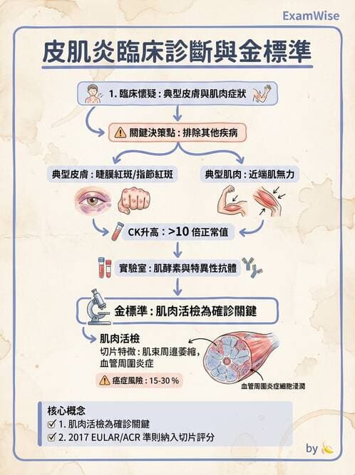 RA - 類風濕性關節炎 - AI 圖文解析預覽