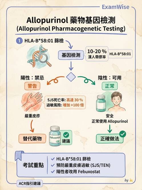 內專 - 痛風、結晶性與退化性關節炎 - AI 圖文解析預覽