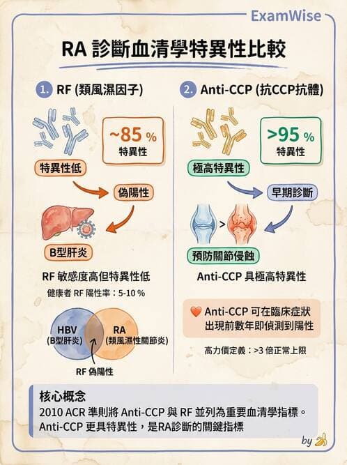 RA - 類風濕性關節炎 - AI 圖文解析預覽
