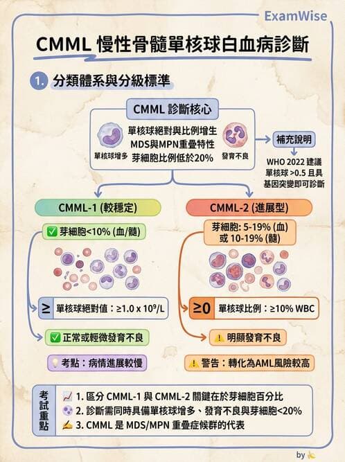 內專 - 淋巴瘤與多發性骨髓瘤 - AI 圖文解析預覽