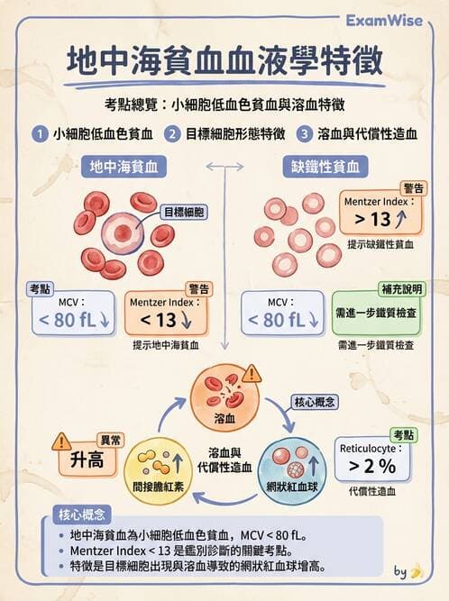 內專 - 各型貧血 - AI 圖文解析預覽