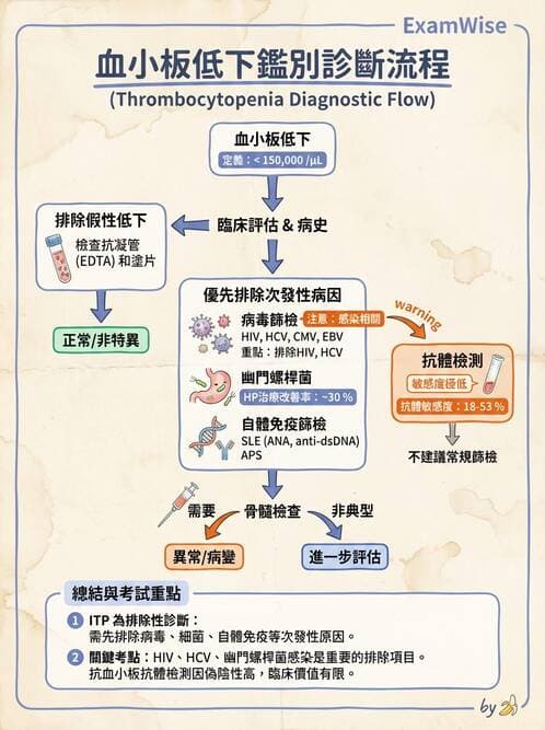 內專 - 凝血與輸血 - AI 圖文解析預覽