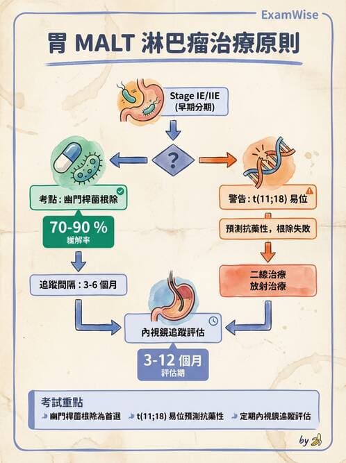 內專 - 消化系統腫瘤 - AI 圖文解析預覽