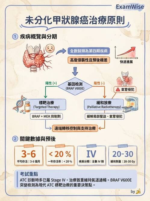 內專 - 非消化系統腫瘤 - AI 圖文解析預覽