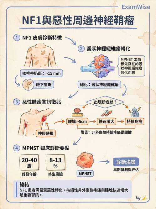 內專 - 腫瘤總論與篩檢 - AI 圖文解析預覽