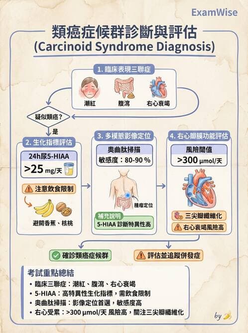 內專 - 消化系統腫瘤 - AI 圖文解析預覽