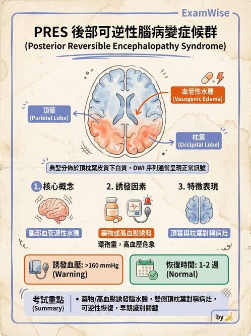 內專 - 腦炎、腦病變與癲癇 - AI 圖文解析預覽