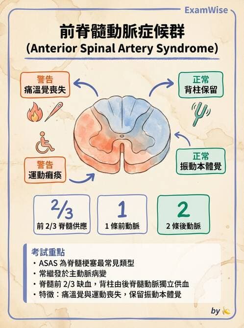 內專 - 腦炎、腦病變與癲癇 - AI 圖文解析預覽