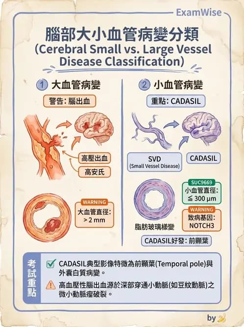 內專 - 腦血管疾病 - AI 圖文解析預覽
