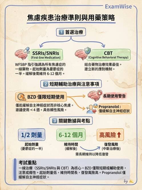 內專 - 焦慮症與其他精神疾患 - AI 圖文解析預覽