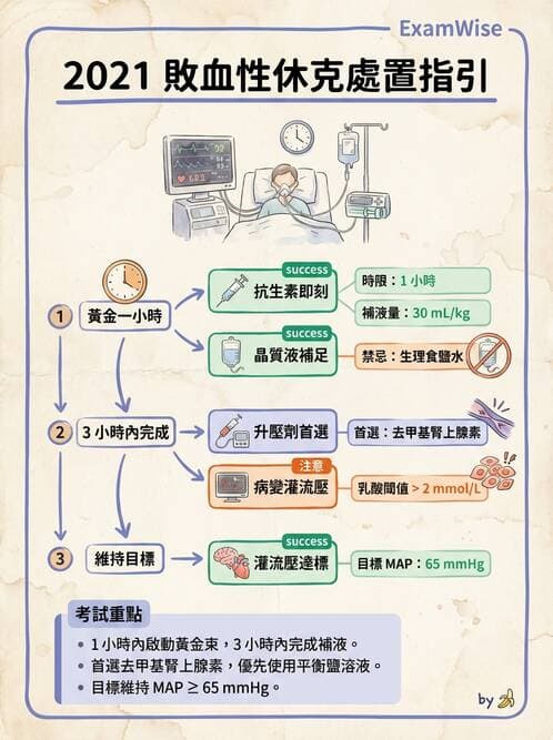 專師 - 敗血症治療與復甦指引 - AI 圖文解析預覽