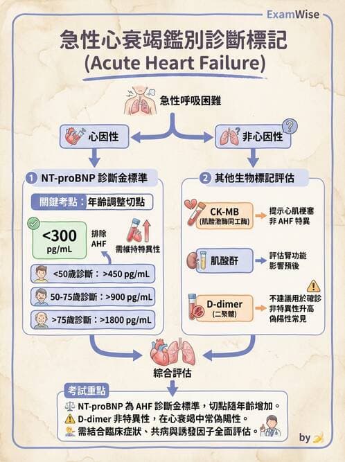 專師 - 心衰竭 - AI 圖文解析預覽