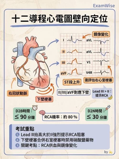 專師 - 急性心肌梗塞與處置 - AI 圖文解析預覽