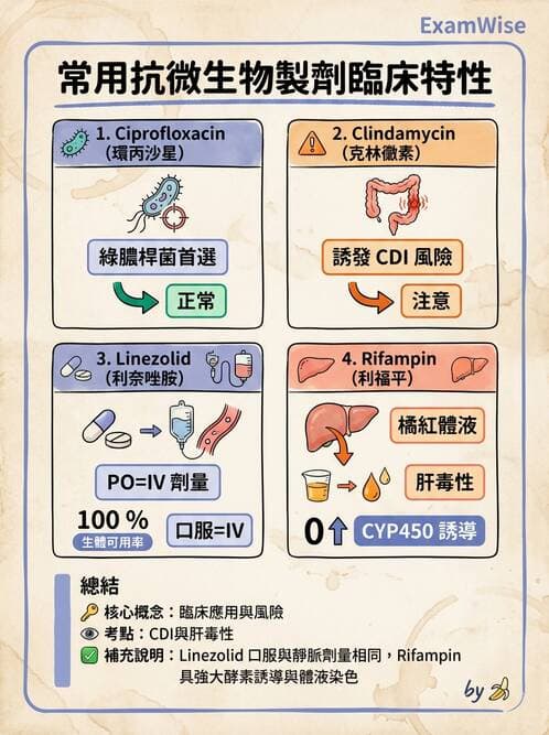 專師 - 抗生素藥理 - AI 圖文解析預覽