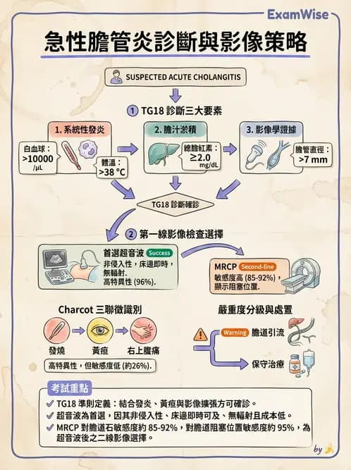 專師 - 肝硬化與併發症 - AI 圖文解析預覽