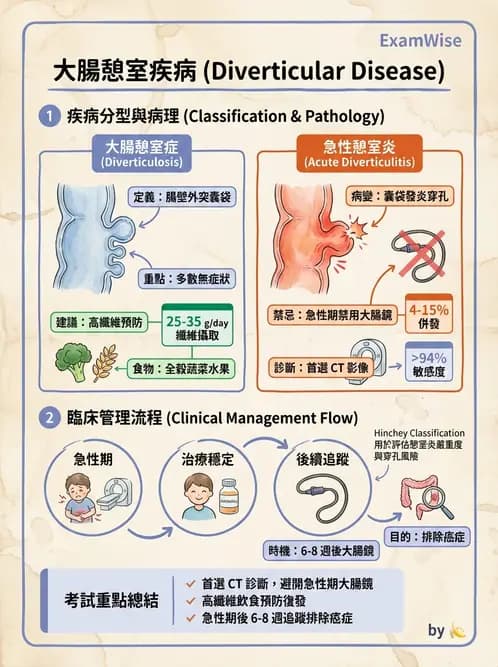 專師 - 腸道疾病與肛門直腸 - AI 圖文解析預覽