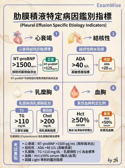 專師 - 肋膜疾病 - AI 圖文解析預覽