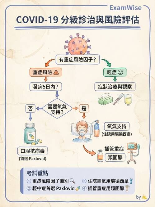 專師 - 法定傳染病與新興感染 - AI 圖文解析預覽