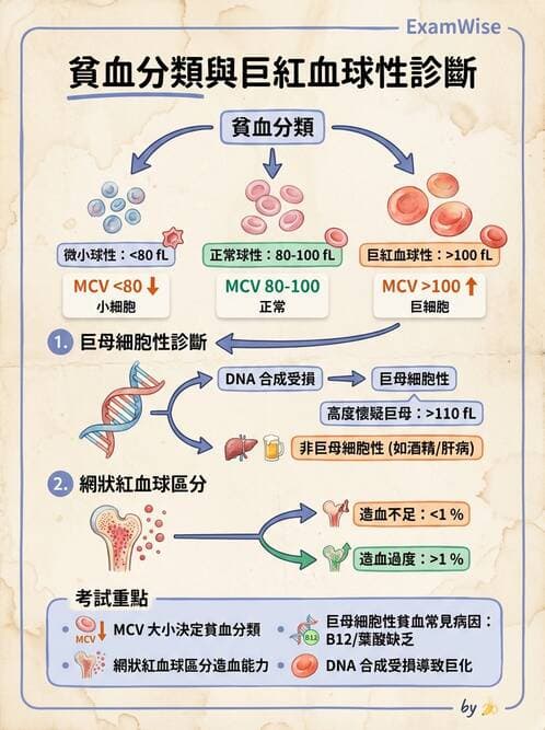 專師 - 血液疾病 - AI 圖文解析預覽