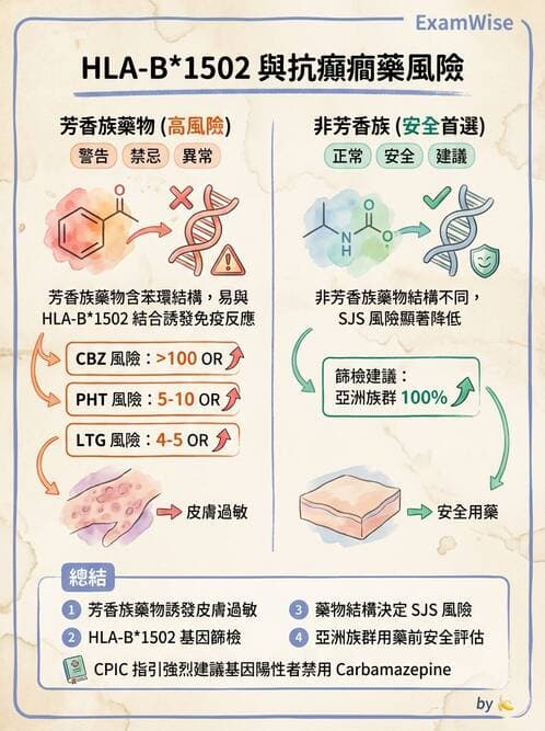 專師 - 神經退化與免疫疾病 - AI 圖文解析預覽