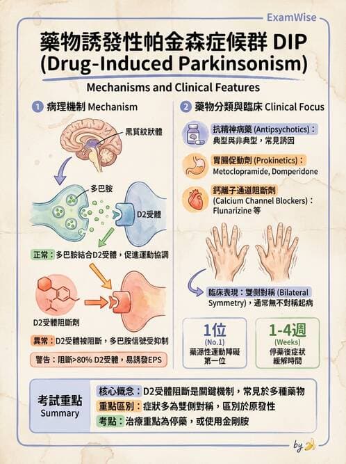 專師 - 神經退化與免疫疾病 - AI 圖文解析預覽