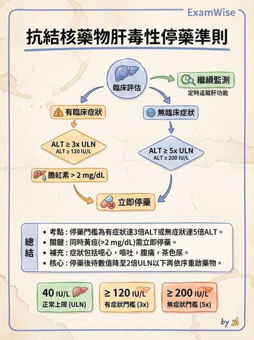 專師 - 肺炎與肺部感染 - AI 圖文解析預覽