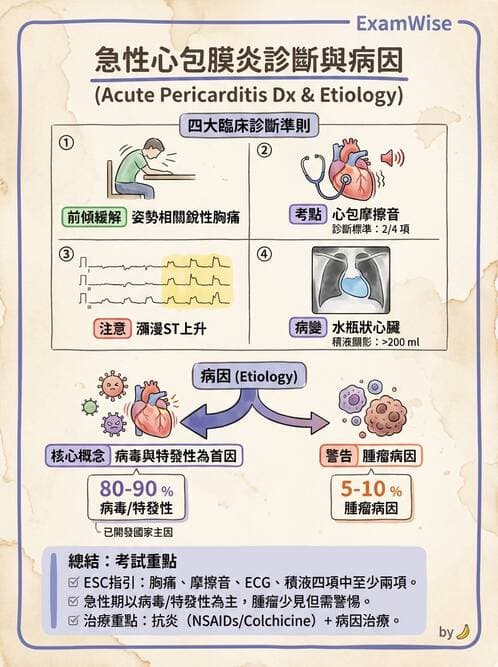 專師 - 心包膜與心肌疾病 - AI 圖文解析預覽