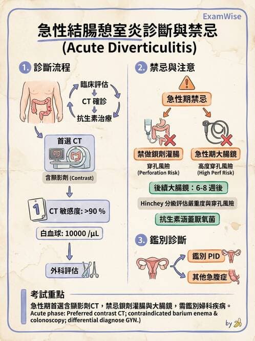 專師 - 腹部評估與急腹症 - AI 圖文解析預覽