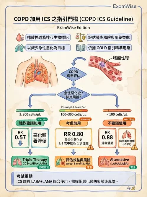 專師 - 阻塞性肺病 - AI 圖文解析預覽