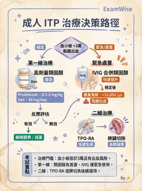 專師 - 血液疾病 - AI 圖文解析預覽