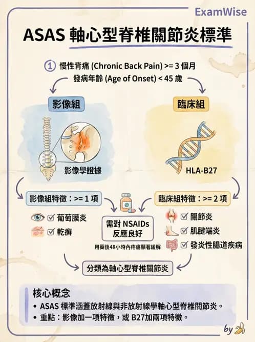 專師 - 風濕免疫疾病 - AI 圖文解析預覽