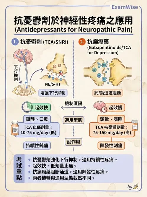 專師 - 術後疼痛控制 - AI 圖文解析預覽