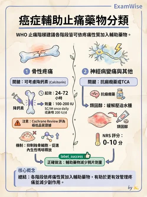 專師 - 安寧緩和與臨終照護 - AI 圖文解析預覽