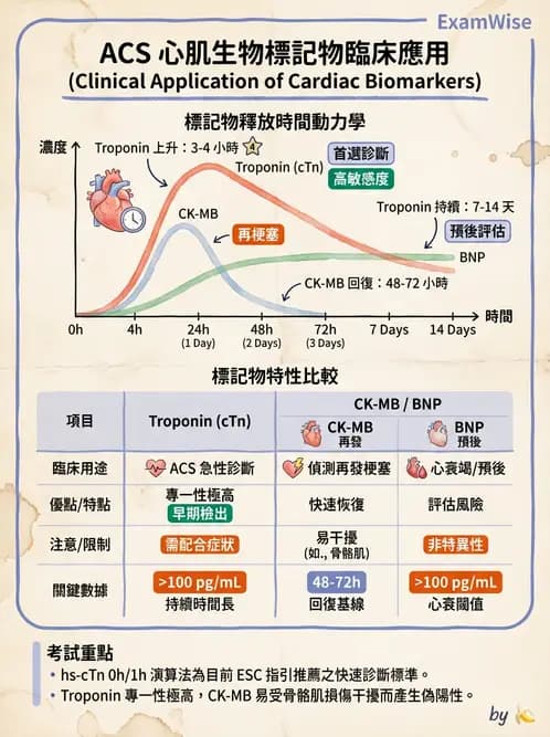 專師 - 冠心病危險因子與預防 - AI 圖文解析預覽
