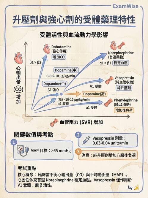 專師 - 高血壓與藥物治療 - AI 圖文解析預覽