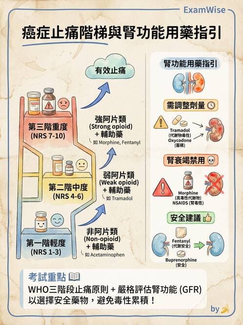 專師 - 疼痛控制與止痛藥物 - AI 圖文解析預覽