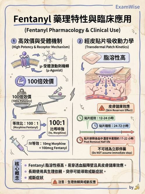 專師 - 疼痛控制與止痛藥物 - AI 圖文解析預覽