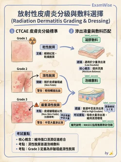 專師 - 傷口敷料與照護 - AI 圖文解析預覽