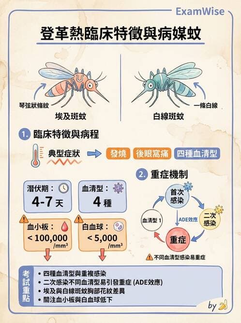 專師 - 法定傳染病與新興感染 - AI 圖文解析預覽