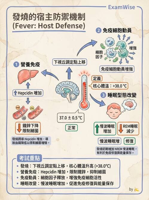 專師 - 敗血症與發燒通論 - AI 圖文解析預覽
