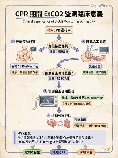 專師 - CPR與復甦後照護 - AI 圖文解析預覽