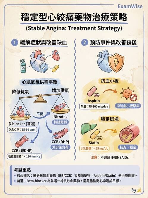 專師 - 心絞痛與穩定型冠心病 - AI 圖文解析預覽