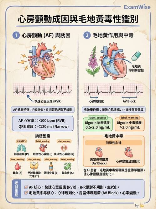專師 - 心律不整與ECG判讀 - AI 圖文解析預覽