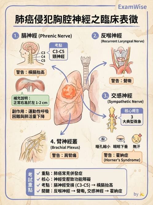 專師 - 肺癌與消化道癌 - AI 圖文解析預覽