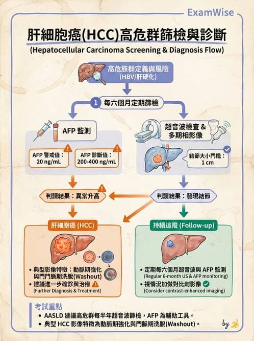專師 - 肝腫瘤與肝臟手術 - AI 圖文解析預覽