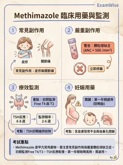 專師 - 甲狀腺疾病 - AI 圖文解析預覽