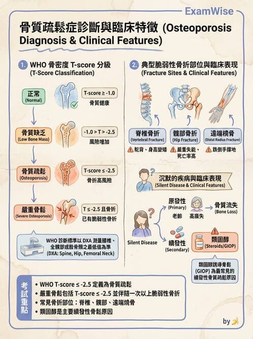 專師 - 骨折與骨質疏鬆 - AI 圖文解析預覽